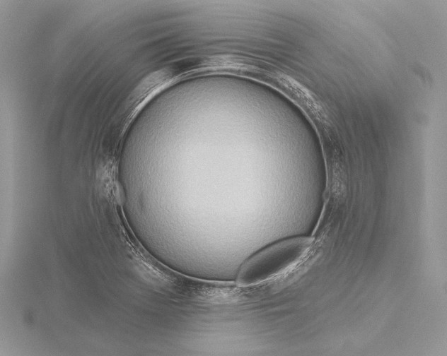 X0000115791369200912041504