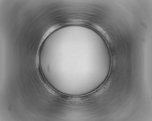 X0000115791370200912041504