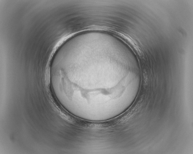 X0000115791371200912041504