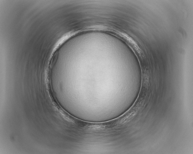 X0000115791373200912041504