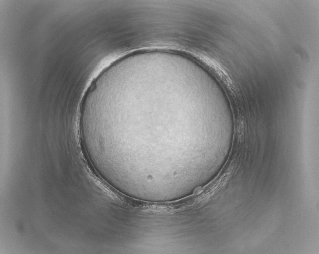 X0000115791374200912041504