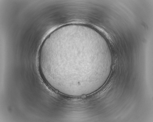 X0000115791375200912041504