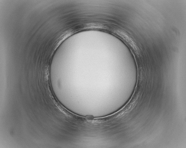 X0000115791377200912041504