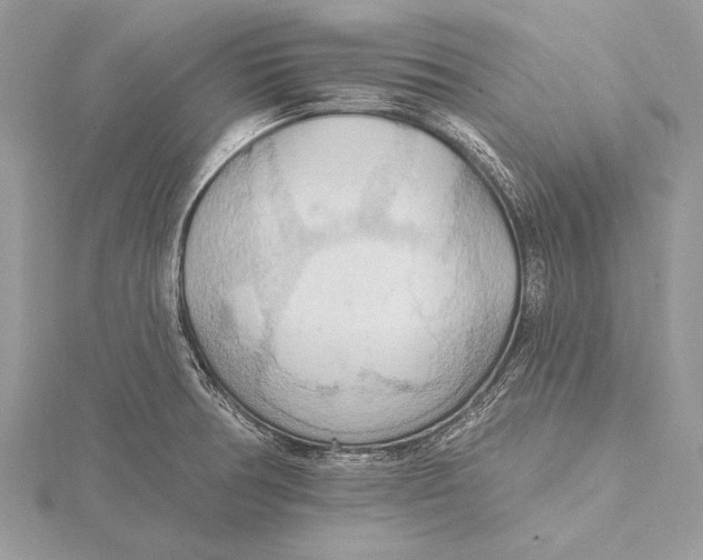 X0000115791378200912041504