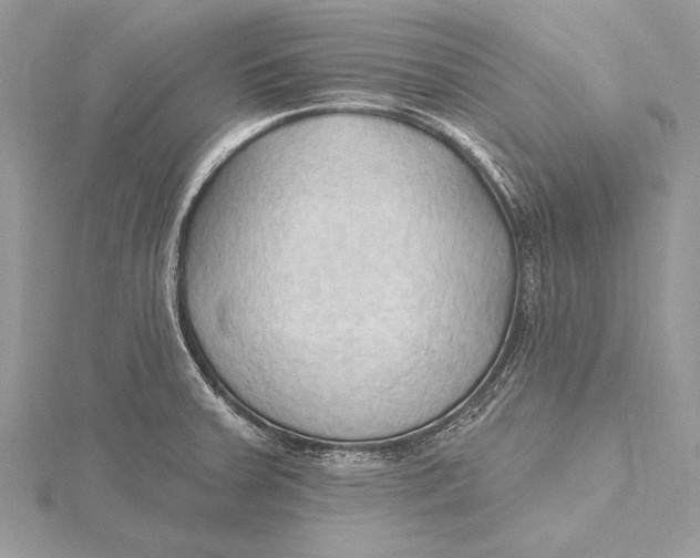 X0000115791379200912041504