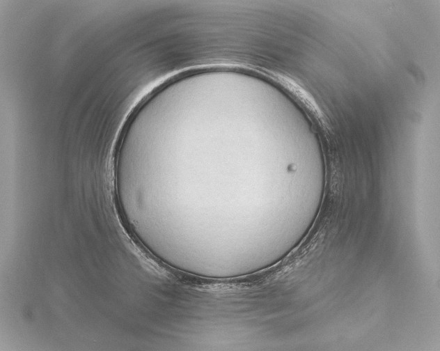 X0000115791380200912041504