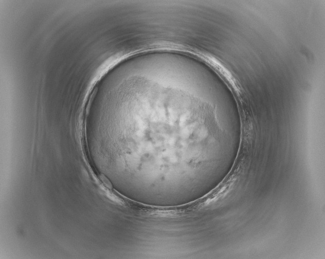 X0000115791381200912041503