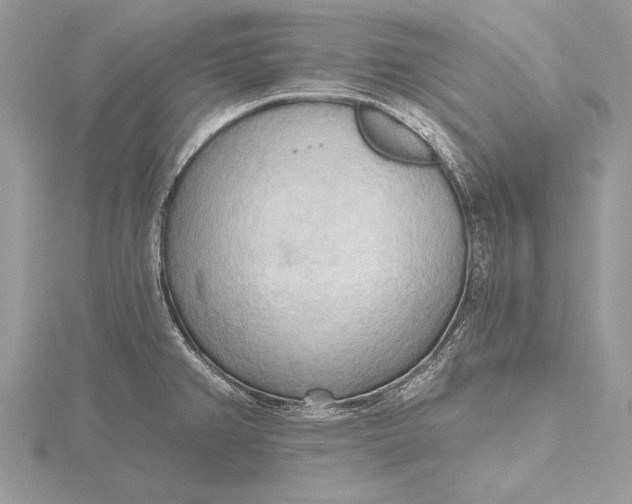 X0000115791382200912041503