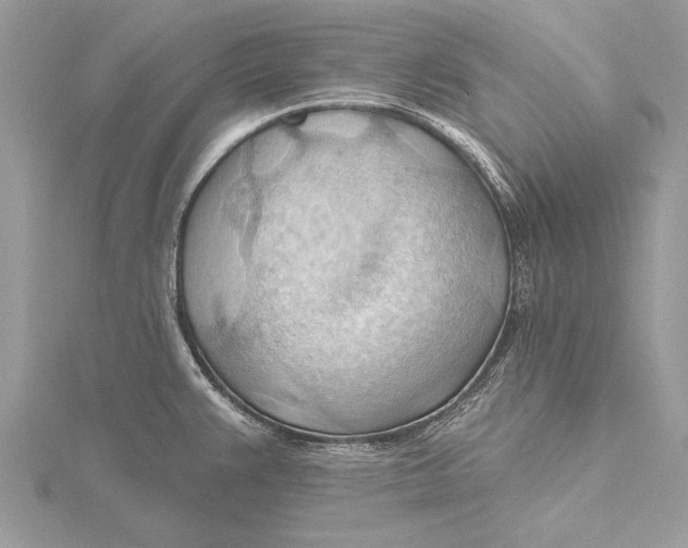 X0000115791383200912041503