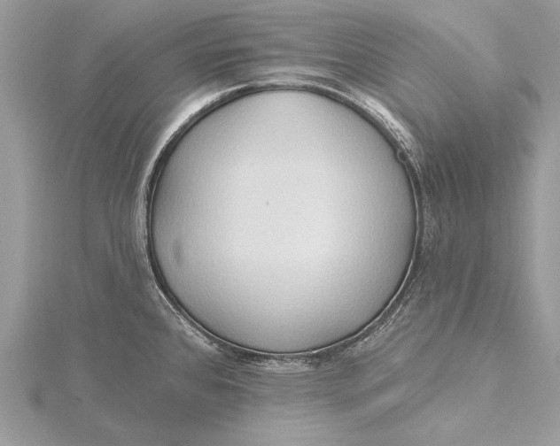 X0000115791384200912041503