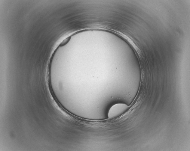 X0000115791387200912041503