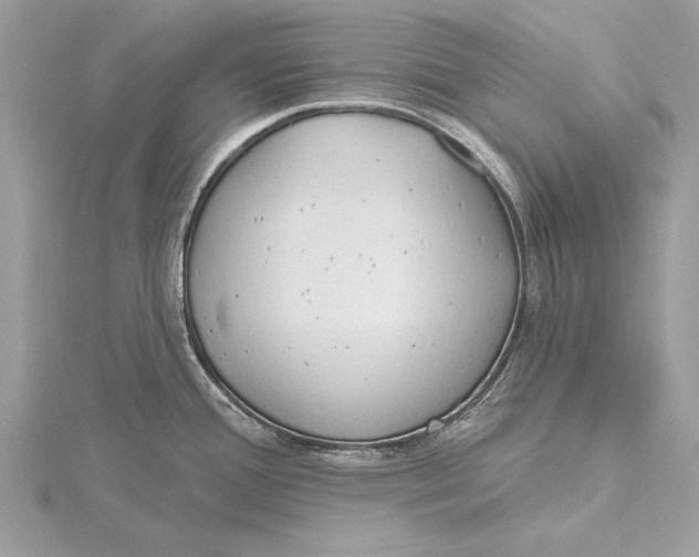 X0000115791388200912041503