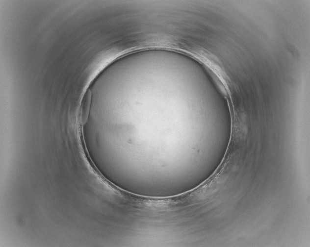 X0000115791389200912041503