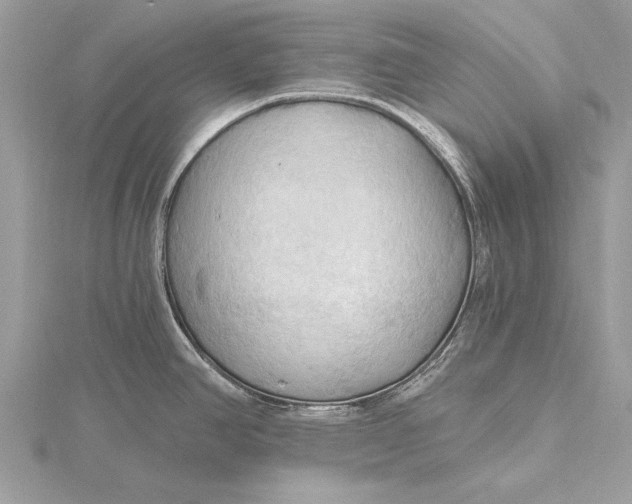 X0000115791390200912041503