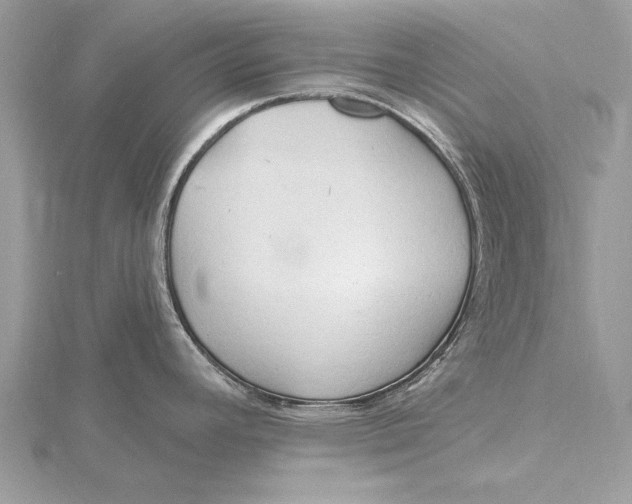 X0000115791392200912041503