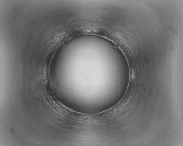 X0000115791396200912041503