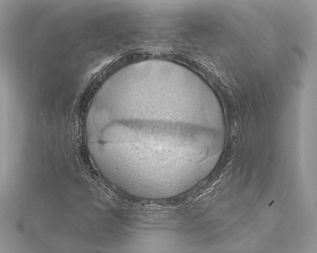 X0000115791398200912041503