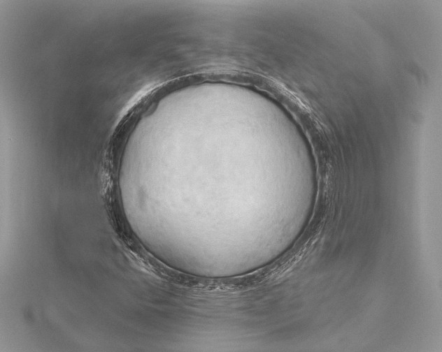 X0000115791400200912041503