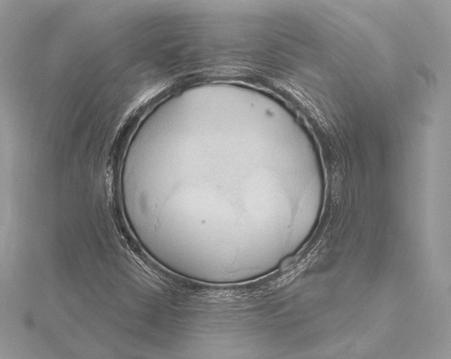 X0000115791402200912041503