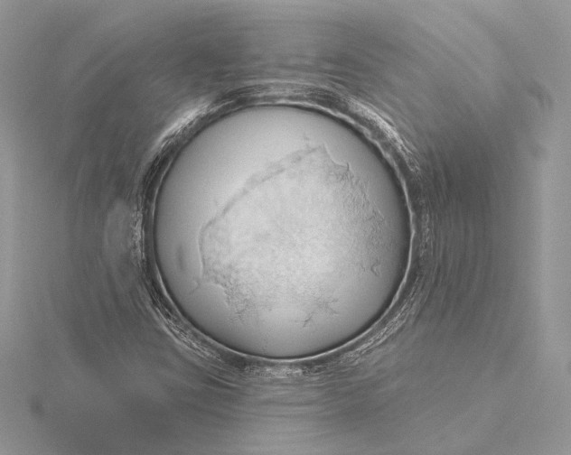 X0000115791403200912041503