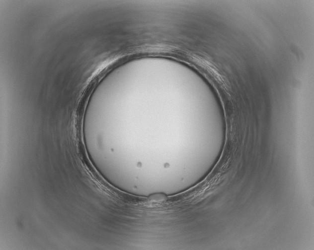 X0000115791404200912041503