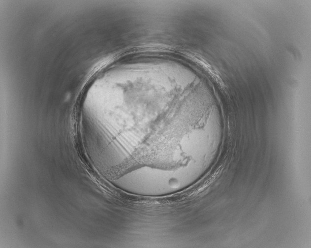 X0000115791405200912041503