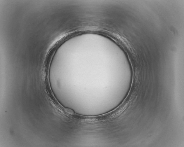 X0000115791406200912041503