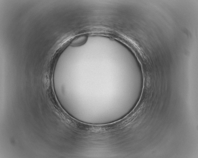 X0000115791407200912041503