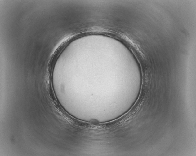 X0000115791408200912041503