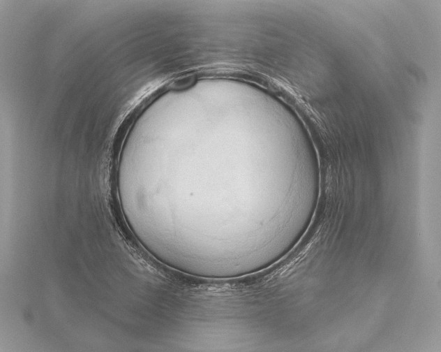 X0000115791410200912041503