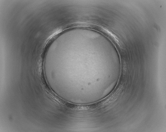 X0000115791411200912041503