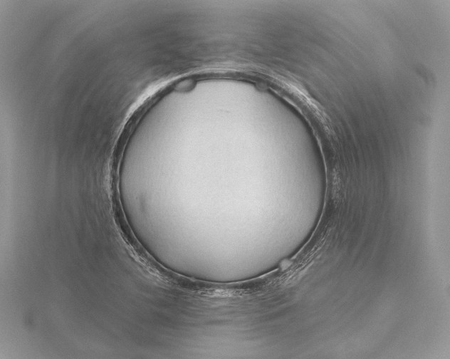 X0000115791412200912041503