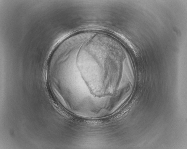 X0000115791413200912041503