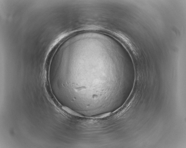 X0000115791414200912041503