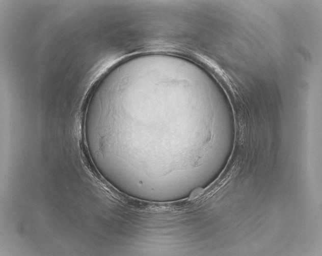 X0000115791415200912041503