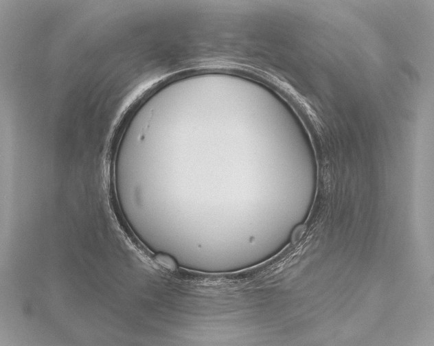 X0000115791416200912041503