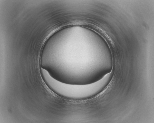 X0000115791417200912041503