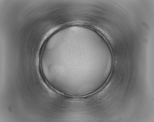 X0000115791418200912041503