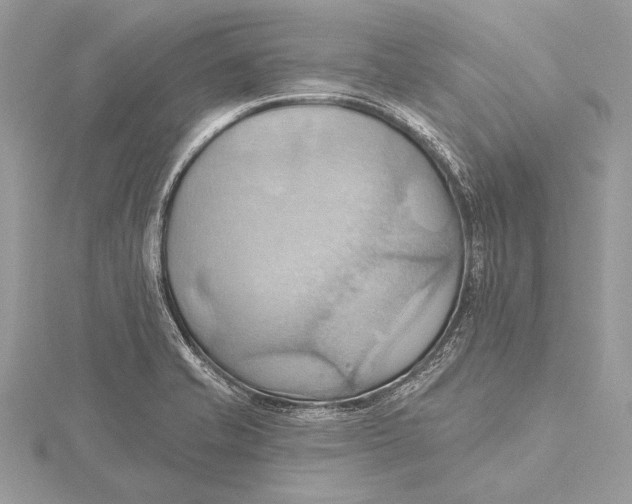 X0000115791421200912041503