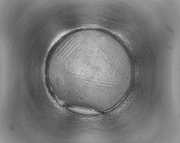 X0000115791422200912041503