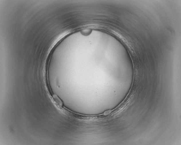 X0000115791426200912041503