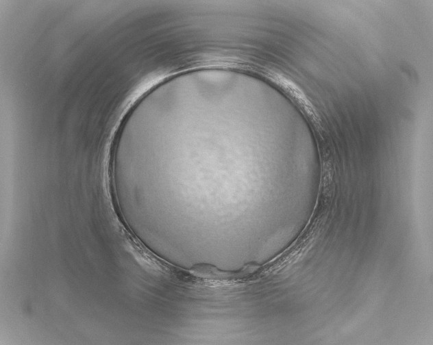 X0000115791427200912041503