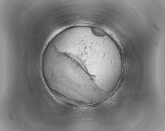 X0000115791429200912041503