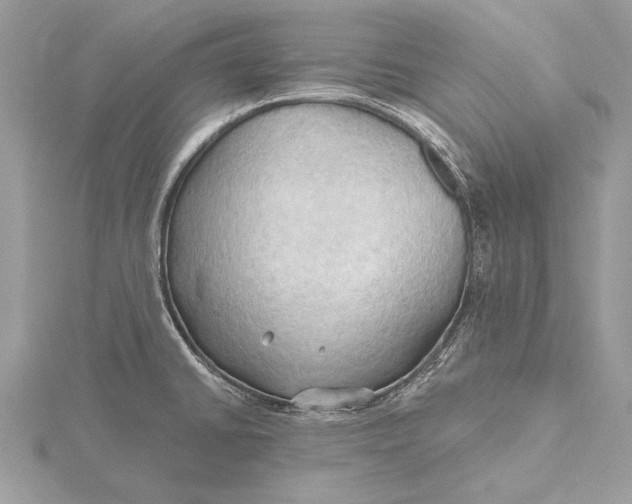 X0000115791430200912041503