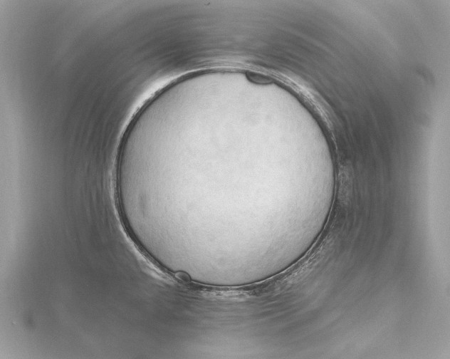 X0000115791432200912041503