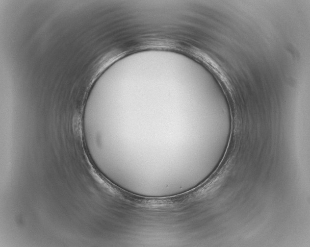 X0000115791433200912041503