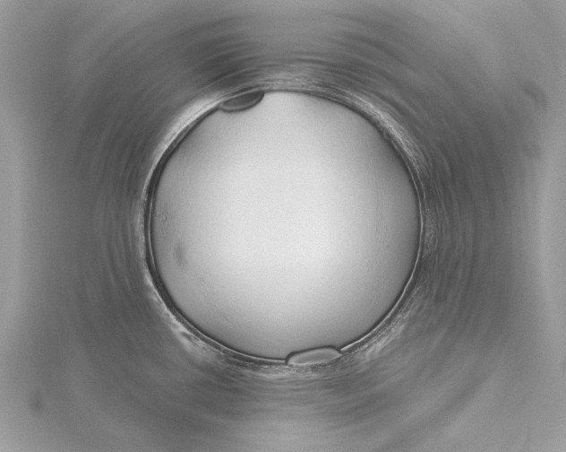 X0000115791434200912041503