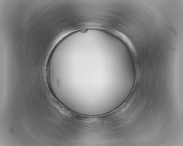 X0000115791435200912041503