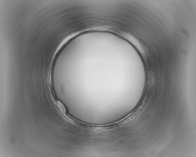 X0000115791436200912041503