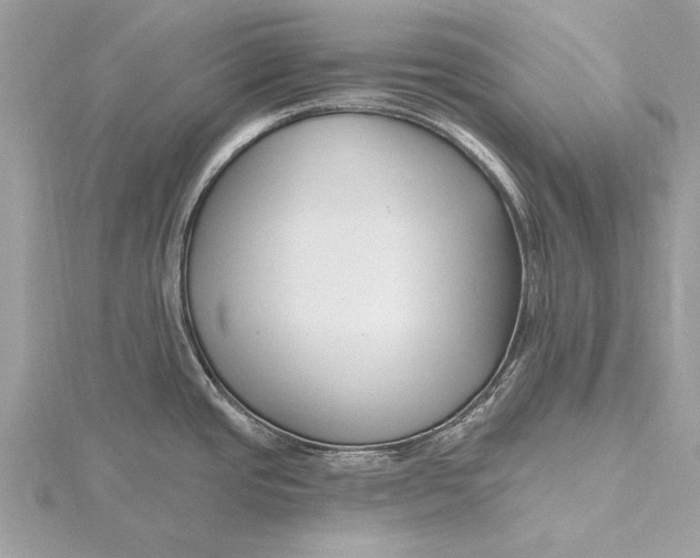 X0000115791437200912041503